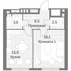 Однокомнатная квартира 45.7 м²